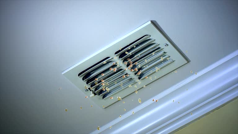 Best Affordable Air Duct Cleaning  in Campbellsport, WI