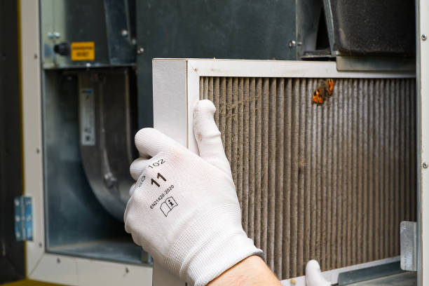 Best Air Vent Cleaning Services  in Campbellsport, WI